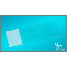 11505189  PEN MembranSlide, glass, RNase-free,50pc