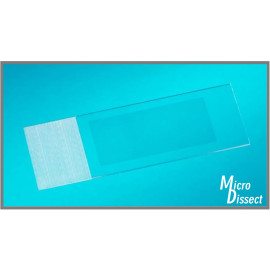 11505215 PEN MembranSlides,glass,large,4x25 pcs